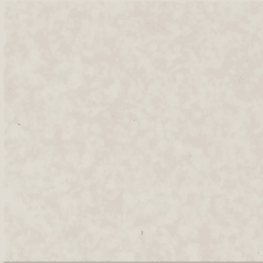 Oyster White